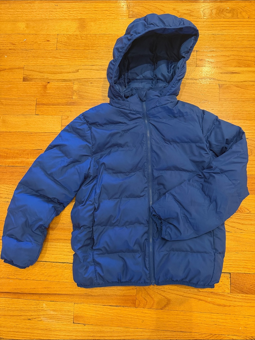 Uniqlo Kids Hooded Puffer Jacket - Royal Blue, size 11-12